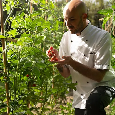 Castello Di Leonina Relais - Adults Only מלון
